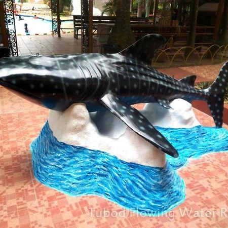 Tubod Flowing Water Resort Minglanilla Exteriér fotografie