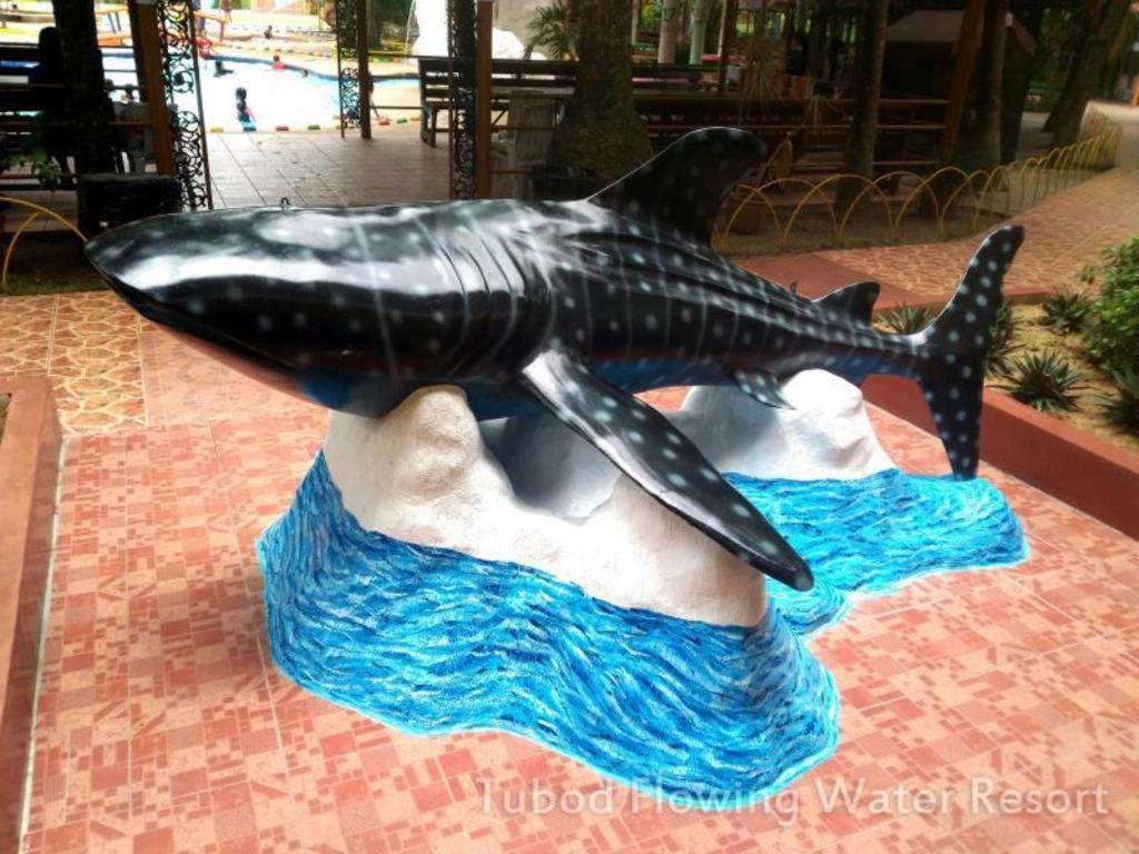 Tubod Flowing Water Resort Minglanilla Exteriér fotografie